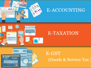 Best Accounting Course in Delhi, NCR 110003  by SLA Accounting Institute, Taxation and Tally Prime Institute in Delhi, Noida, "Holi Offer 2025